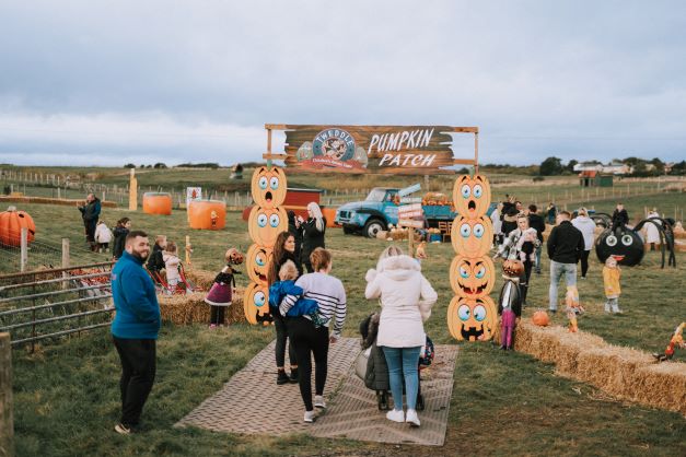 Pumpkin Picking – Tweddle Farm